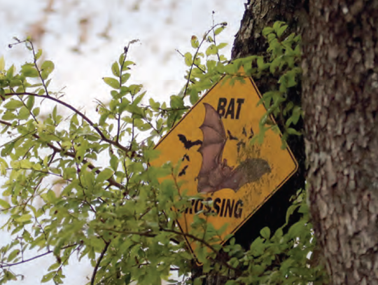 Old Tunnel State Park