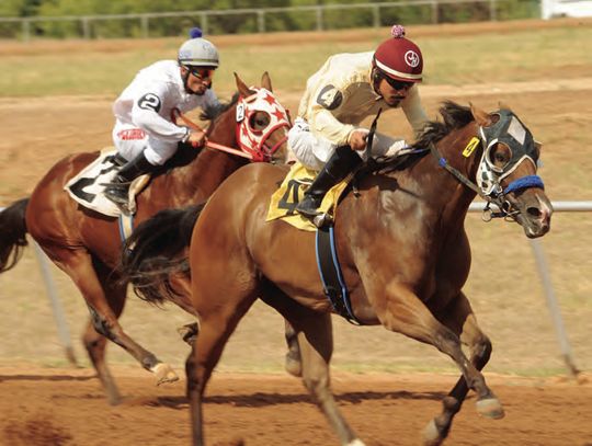 The summer season at the Gillespie County Fair Grounds will provide four opportunities to watch horse racing and bet on a favorite. – Standard-Radio Post/Brent Bur