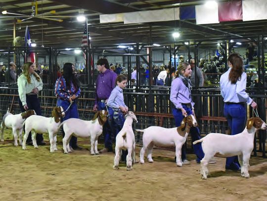 County Youth in 4-H and FFA Compete Statewide