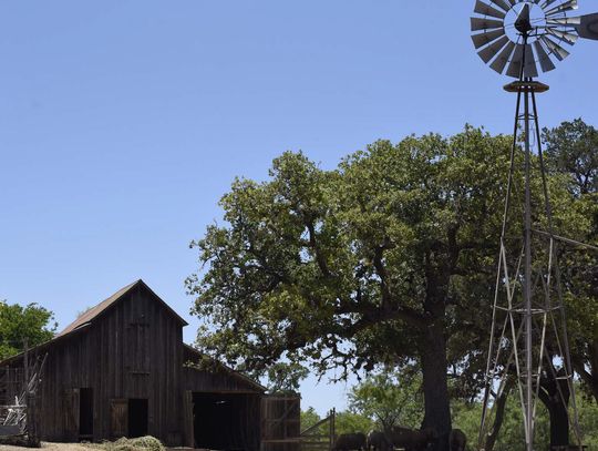 LBJ STATE PARK IS A MUST-SEE DESTINATION