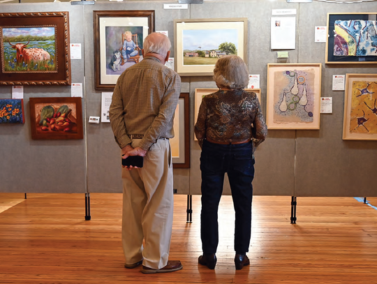 Local Visual Arts on Display Die Künstler von Fredericksburg Art Show