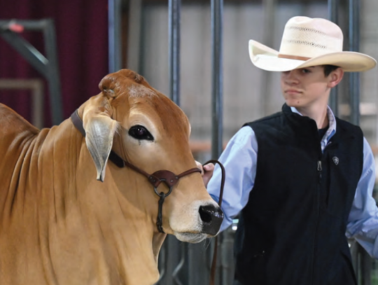 Gillespie County 4-H and FFA