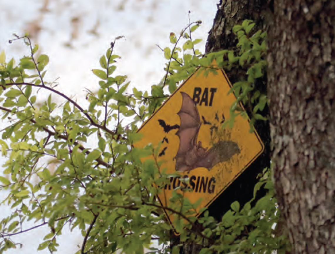 Bat Haven Old Tunnel State Park