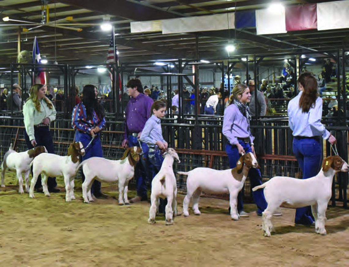 County Youth in 4-H and FFA Compete Statewide