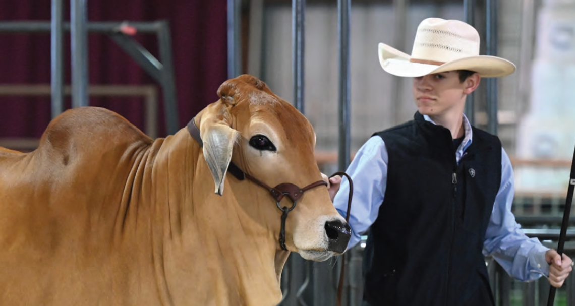 Gillespie County 4-H and FFA