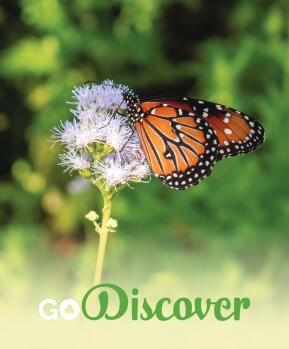 GoFredericksburg Visitors Guide Spring / Summer 20 - page 31